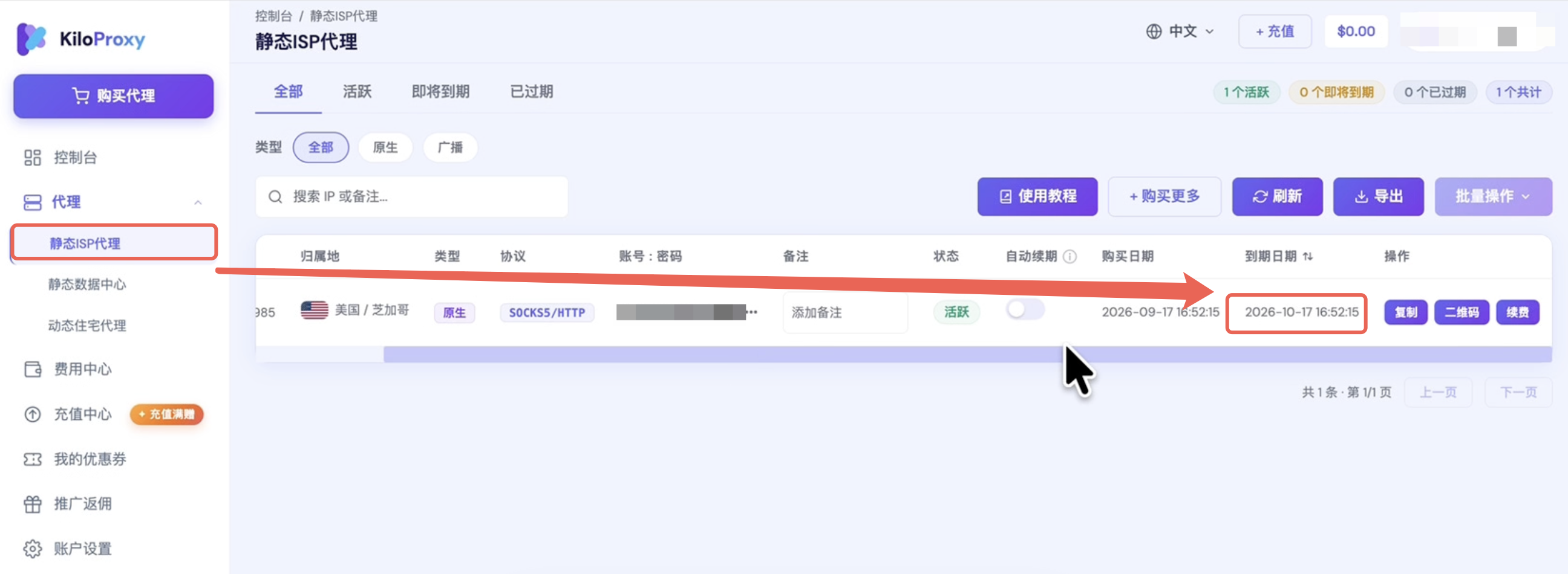KiloProxy静态ISP代理列表中的资源状态与到期日期