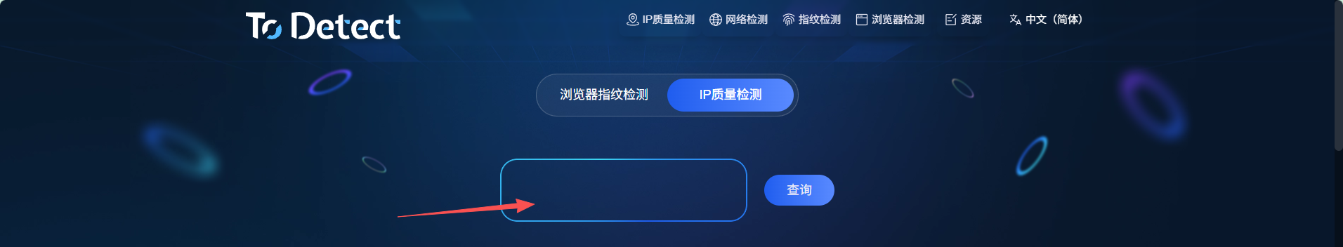 在 ToDetect 首页搜索框中输入代理 IP